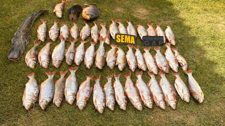 25 quilos de peixe foram apreendidos pela Sema na região de Rosário Oeste