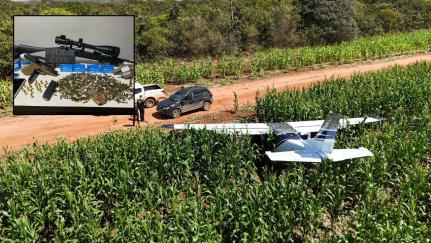 Avião cai em milharal e dois suspeitos são presos transportando armas e munições em MT