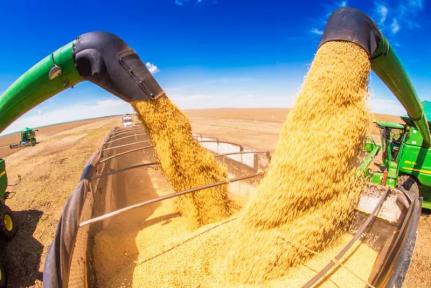Colheita de soja 2023/24 atinge 29,4% da área no Brasil, diz levantamento da Conab