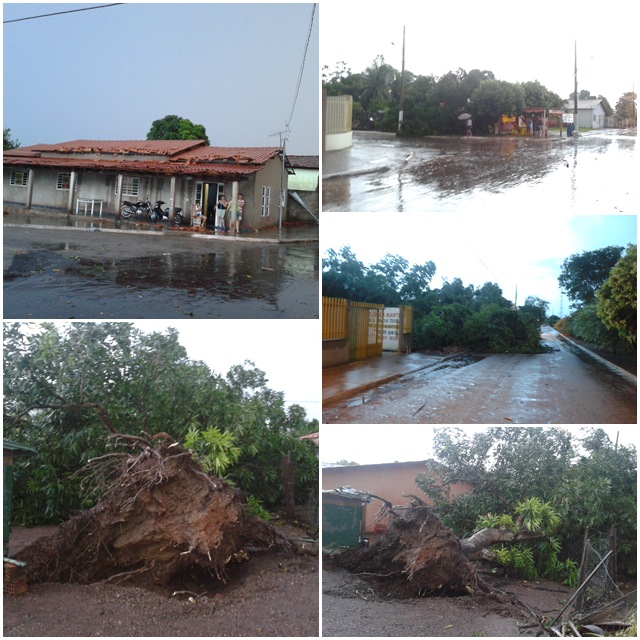 Casas destelhadas e árvores foram derrubadas com a forte chuva