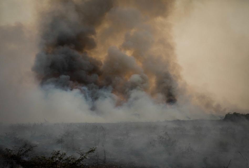 Jangada e mais 57 cidades de MT estão em emergência por causa de incêndios